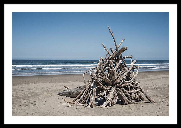 Driftwood Sculpture On Serene Shore
