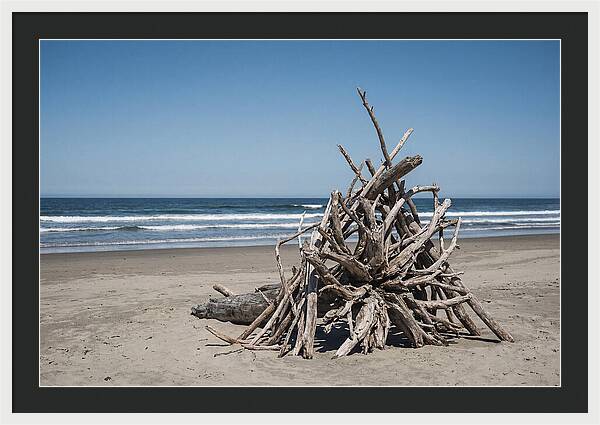 Driftwood Sculpture On Serene Shore