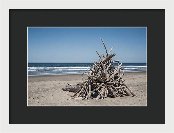 Driftwood Sculpture On Serene Shore