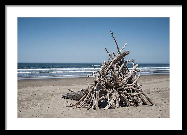 Driftwood Sculpture On Serene Shore
