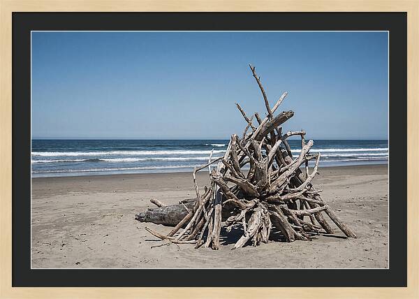 Driftwood Sculpture On Serene Shore