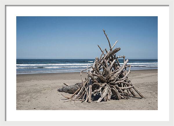 Driftwood Sculpture On Serene Shore
