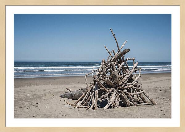 Driftwood Sculpture On Serene Shore