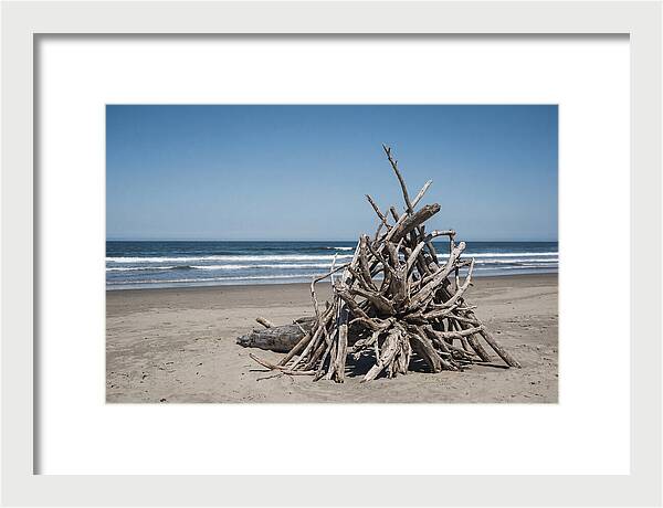 Driftwood Sculpture On Serene Shore