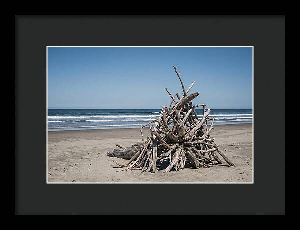 Driftwood Sculpture On Serene Shore
