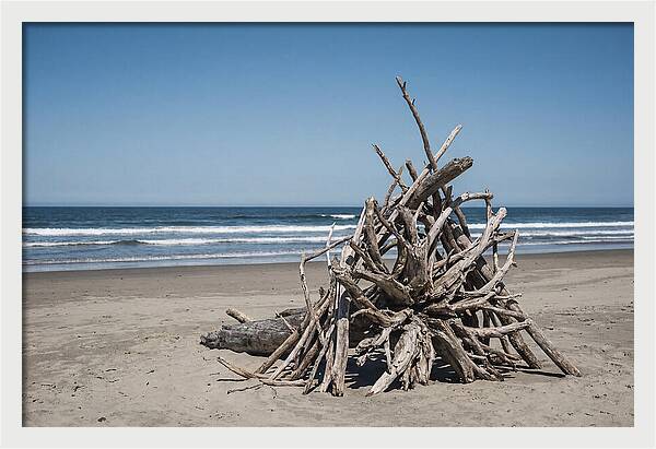 Driftwood Sculpture On Serene Shore