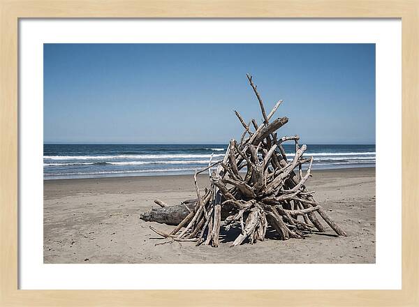 Driftwood Sculpture On Serene Shore
