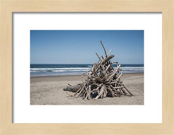 Driftwood Sculpture On Serene Shore