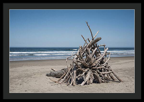 Driftwood Sculpture On Serene Shore