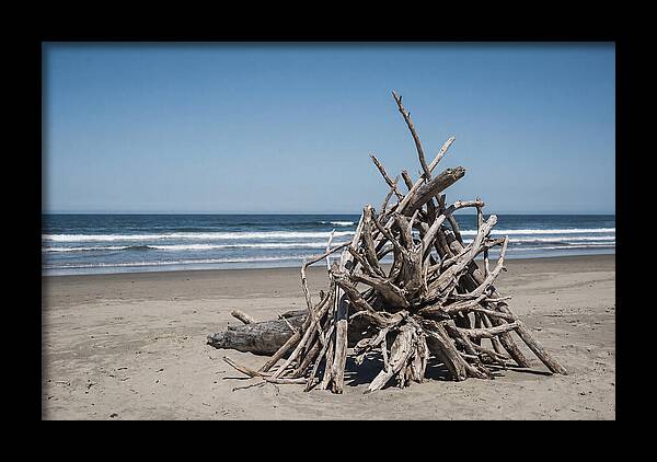 Driftwood Sculpture On Serene Shore