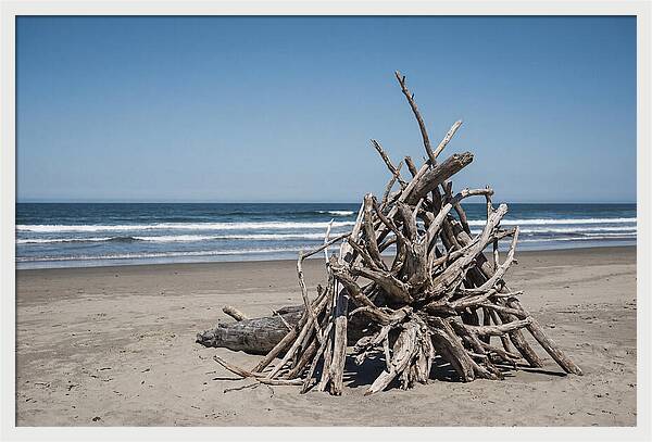 Driftwood Sculpture On Serene Shore