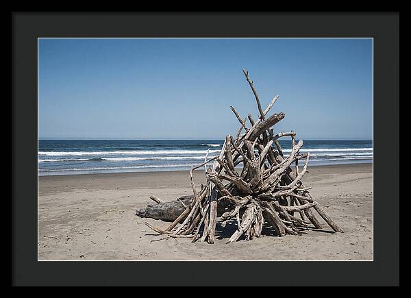 Driftwood Sculpture On Serene Shore