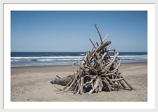 Driftwood Sculpture On Serene Shore