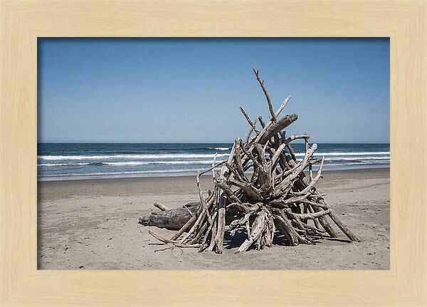 Driftwood Sculpture On Serene Shore
