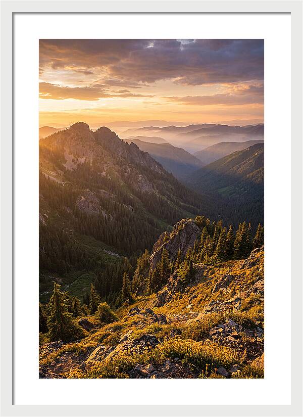 Driskill Mountain Serenity