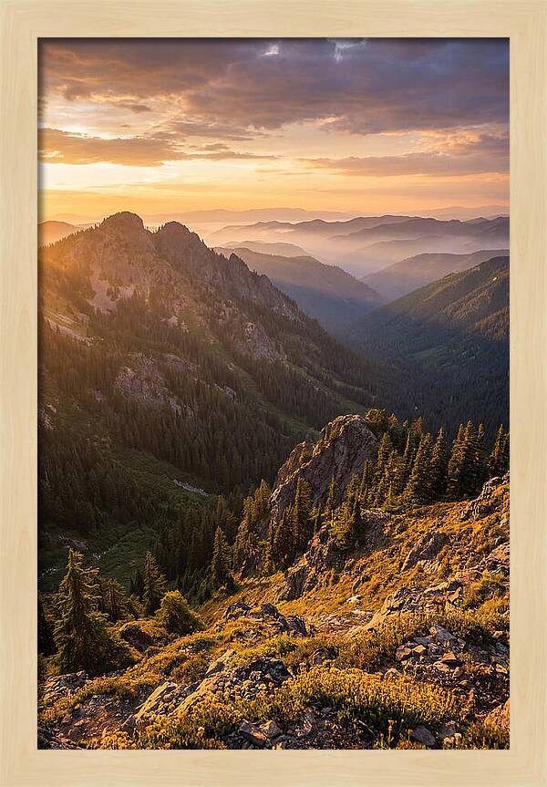 Driskill Mountain Serenity