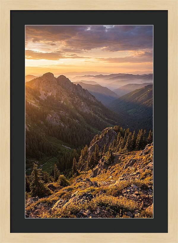 Driskill Mountain Serenity