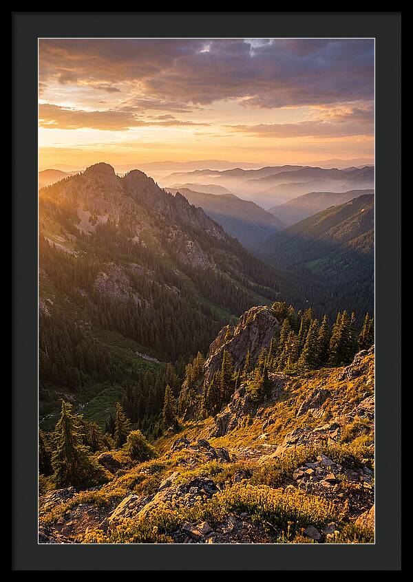 Driskill Mountain Serenity