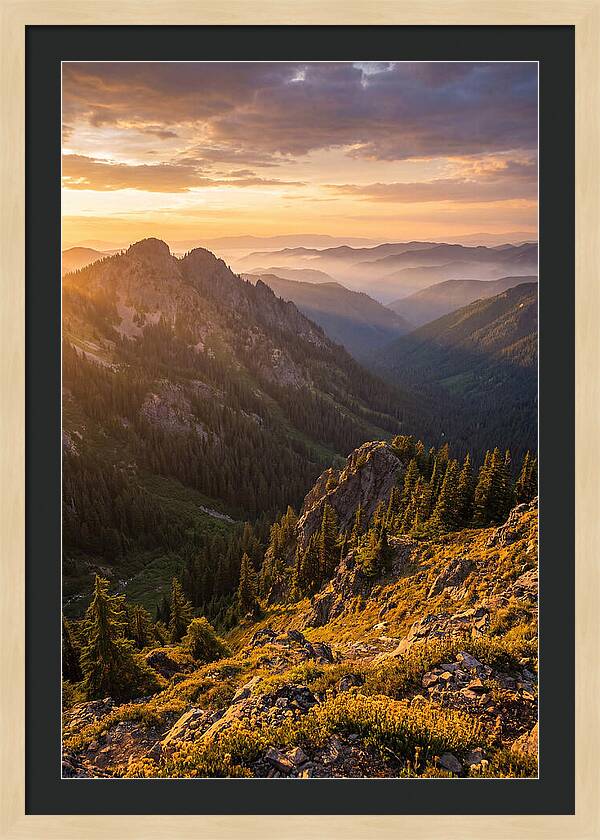 Driskill Mountain Serenity