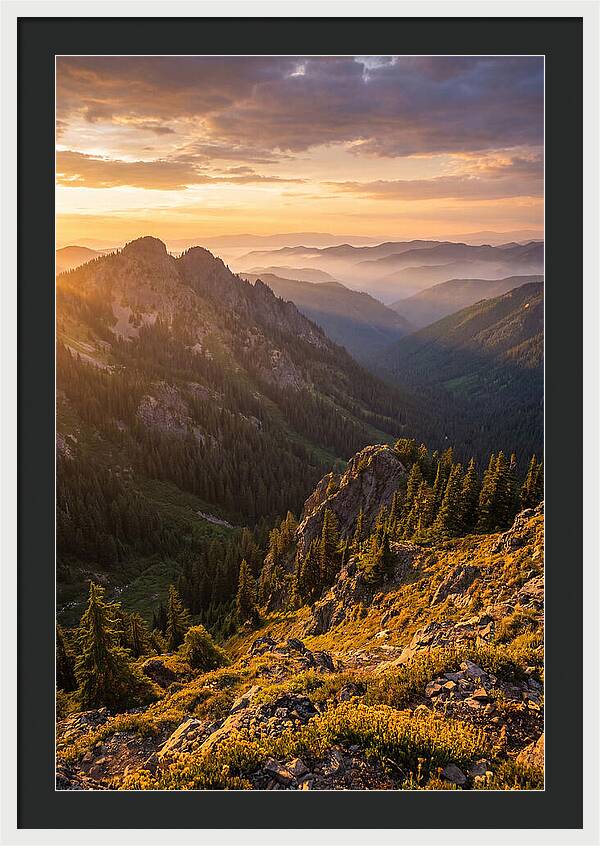 Driskill Mountain Serenity