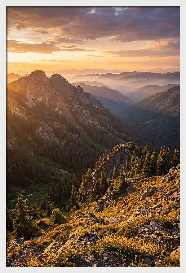 Driskill Mountain Serenity