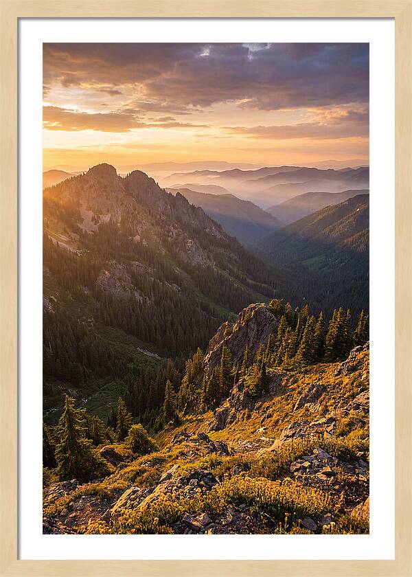Driskill Mountain Serenity