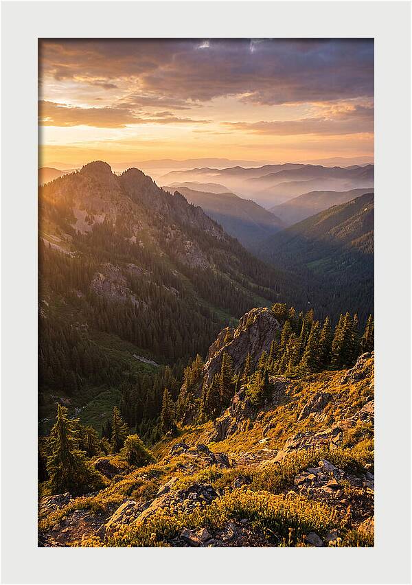 Driskill Mountain Serenity