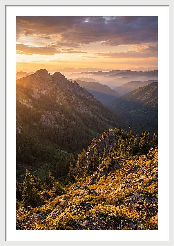 Driskill Mountain Serenity