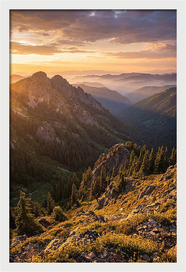 Driskill Mountain Serenity