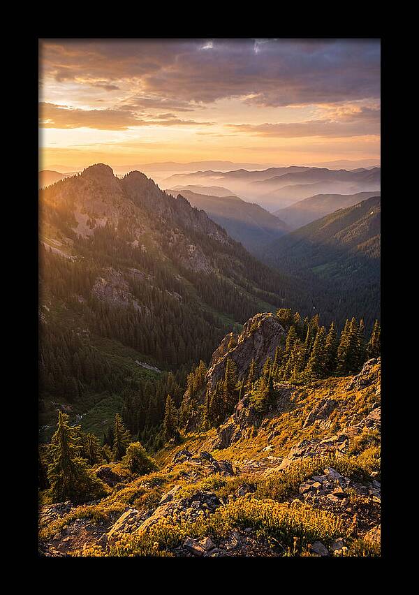 Driskill Mountain Serenity