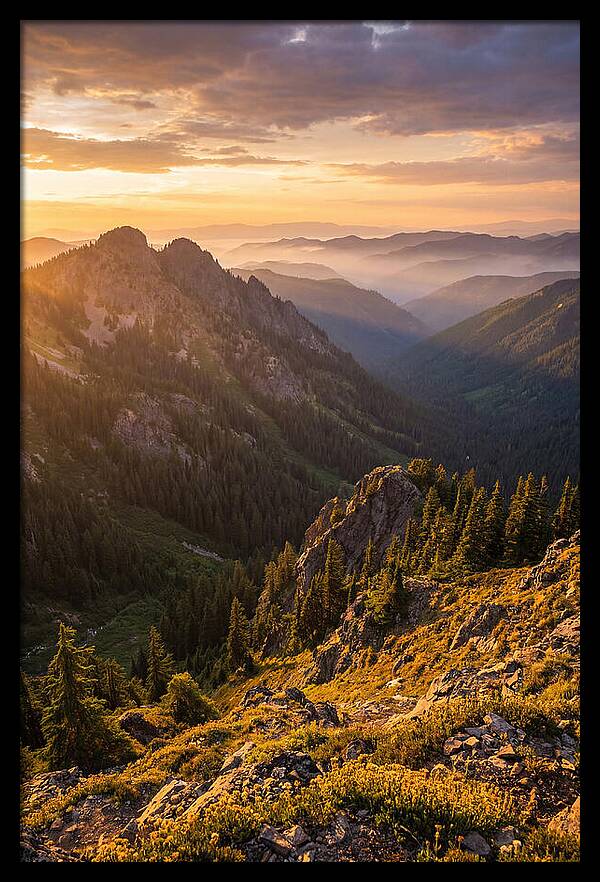 Driskill Mountain Serenity