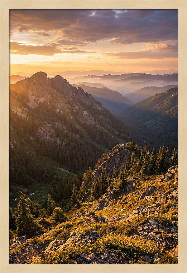 Driskill Mountain Serenity