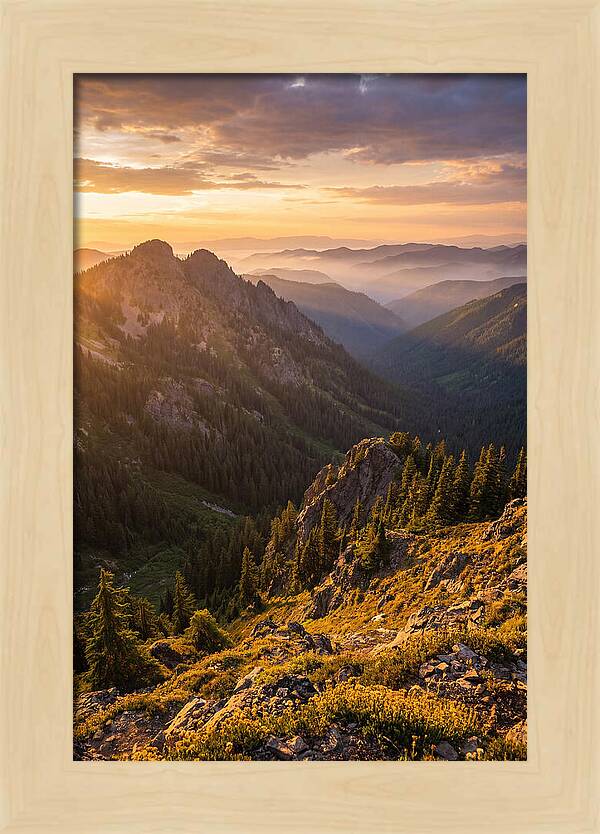 Driskill Mountain Serenity
