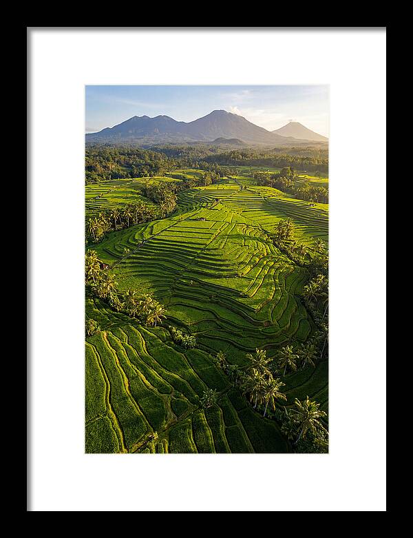 Drone Rice Terraces