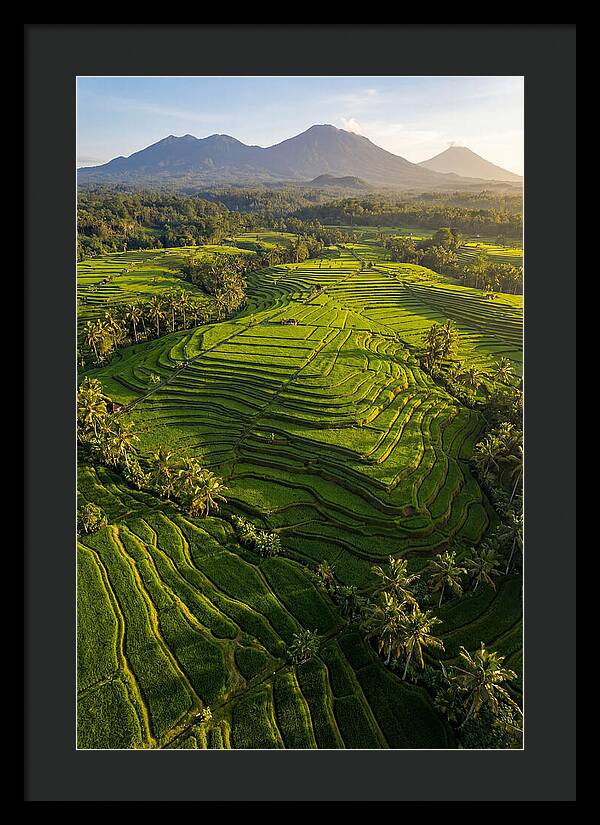 Drone Rice Terraces