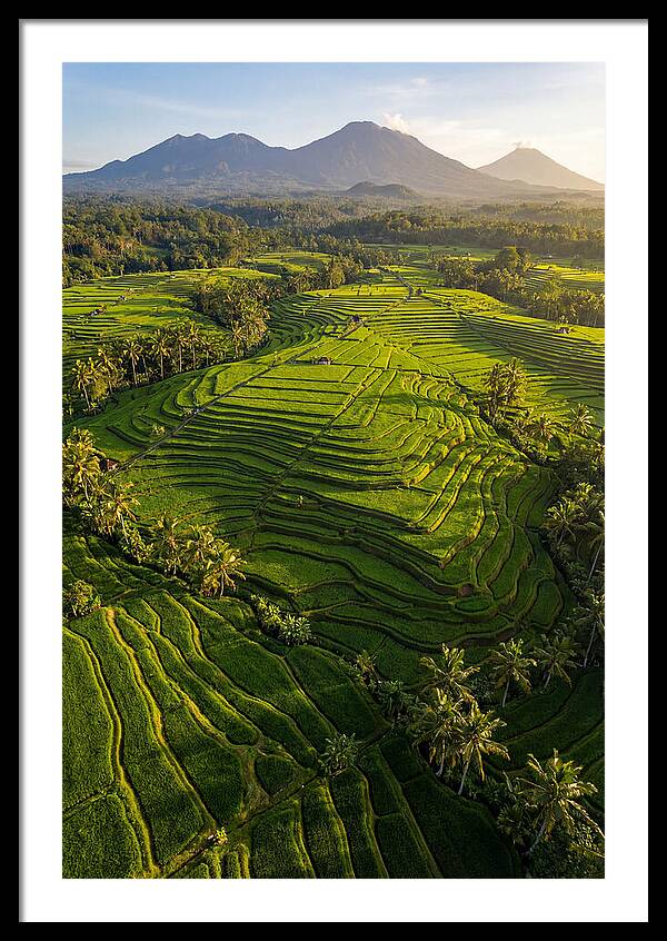 Drone Rice Terraces