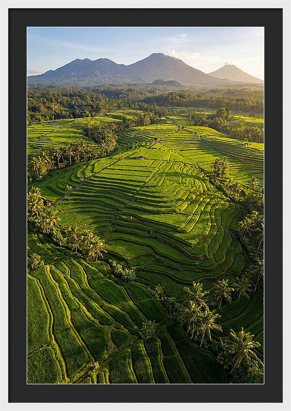 Drone Rice Terraces