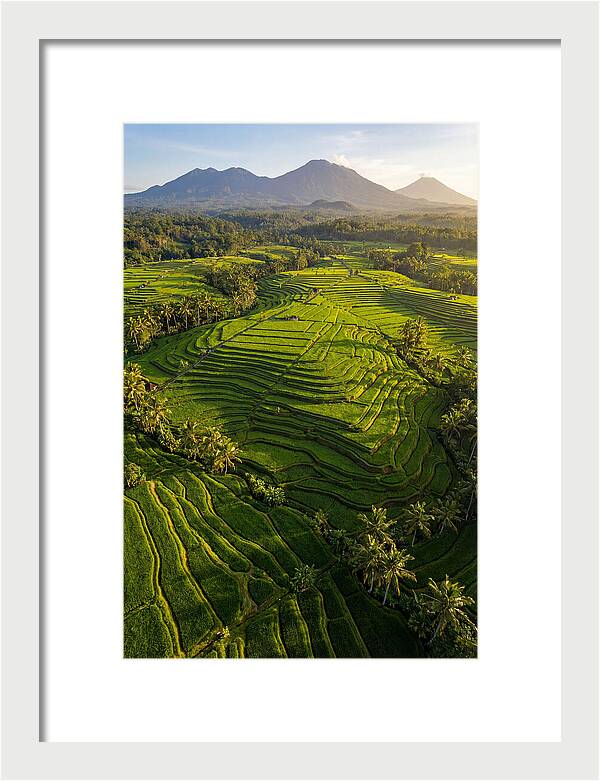 Drone Rice Terraces