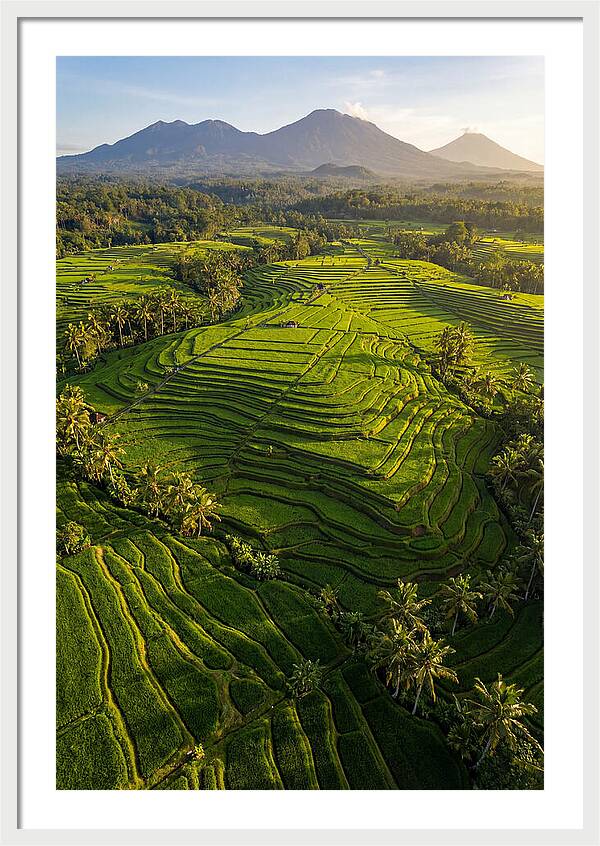 Drone Rice Terraces
