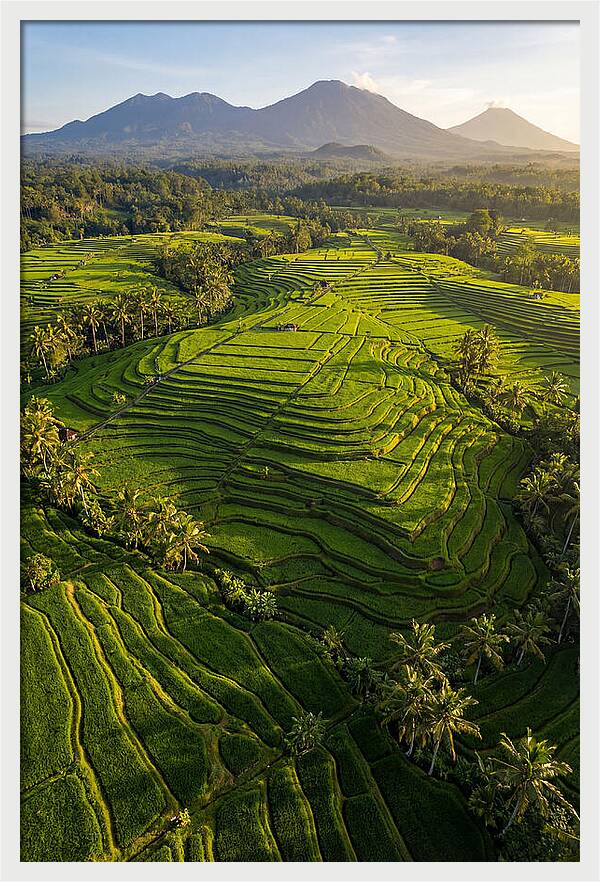 Drone Rice Terraces