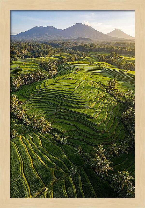Drone Rice Terraces