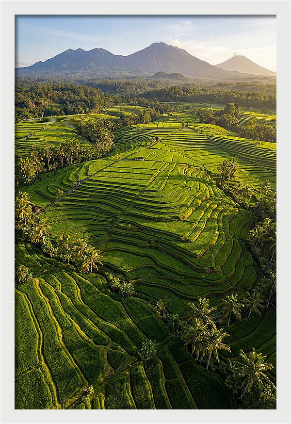 Drone Rice Terraces