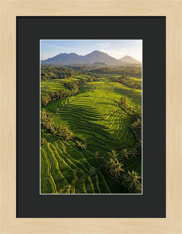 Drone Rice Terraces