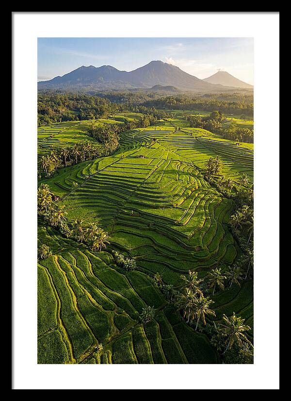 Drone Rice Terraces