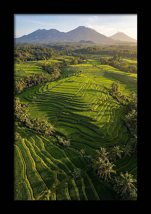Drone Rice Terraces