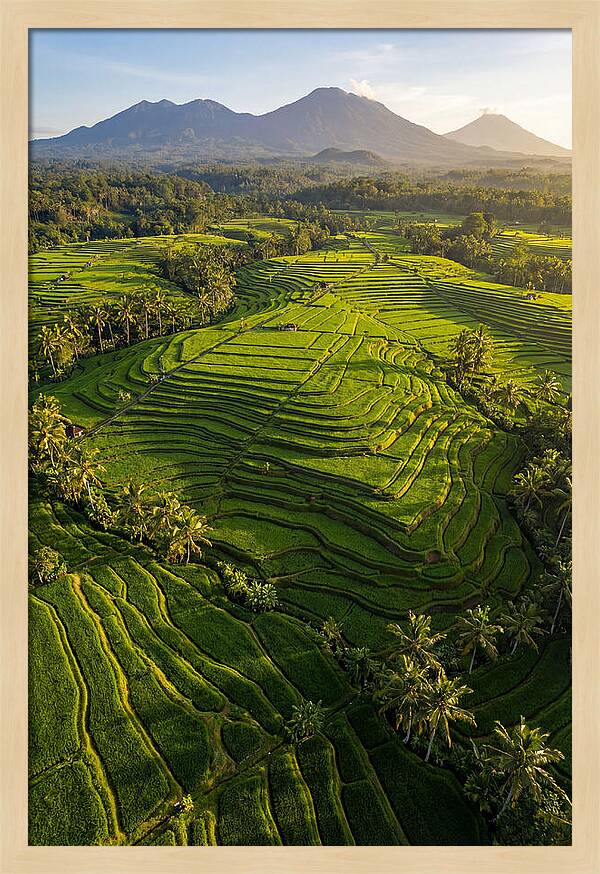 Drone Rice Terraces