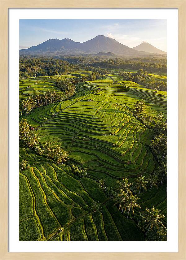 Drone Rice Terraces