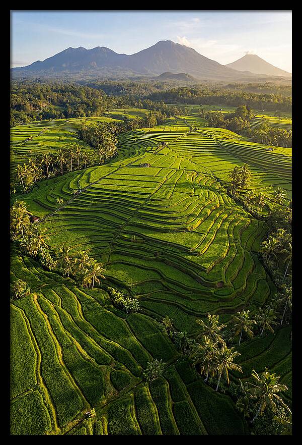 Drone Rice Terraces