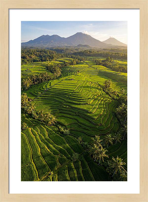 Drone Rice Terraces