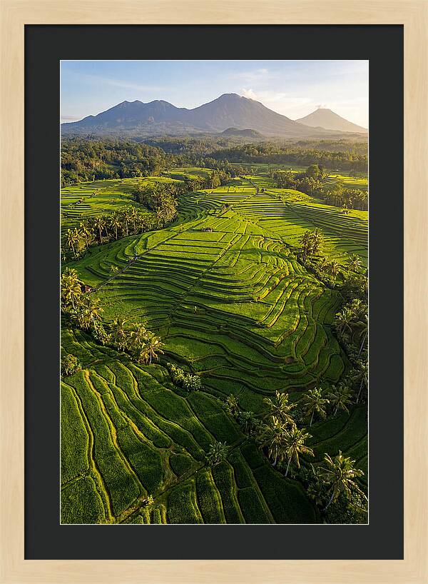 Drone Rice Terraces